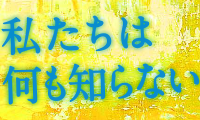 私たちは何も知らない配信
